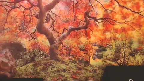 Ember Starleena online show from September 26, 2:58 pm