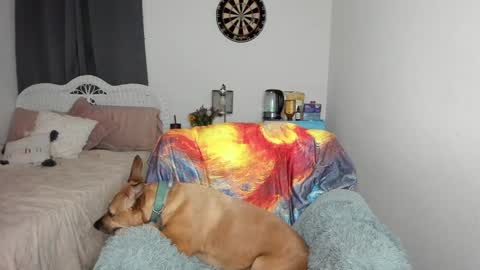 Ember Pheonixxx online show from January 17, 3:12 am