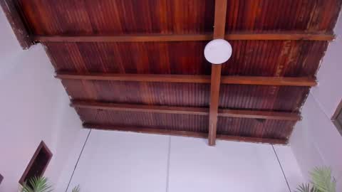 Emily  online show from November 15, 10:50 am