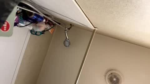 emmwarr1514 online show from March 10, 11:01 am