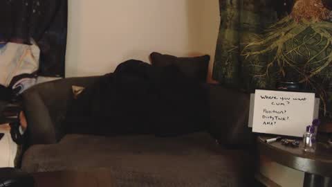 Brad Ryan online show from January 24, 11:15 am