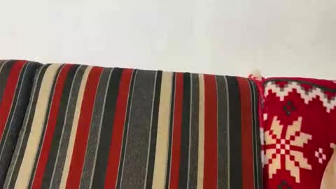 enrico5578 online show from October 27, 5:46 pm