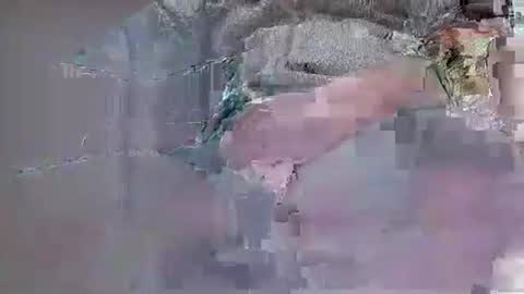 ensolo56 online show from November 1, 9:08 am