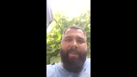 enzovibes online show from June 8, 3:13 pm