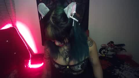 Snapshot of eta_carinae6 chatting on February 7, 5:31 am eta_carinae6 online show from February 7, 5:31 am
