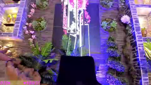 EVA COLUCCY online show from March 10, 2:37 pm