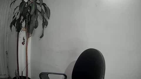 Snapshot of evacollins12 chatting on December 9, 1:40 am evacollins12 online show from December 9, 1:40 am