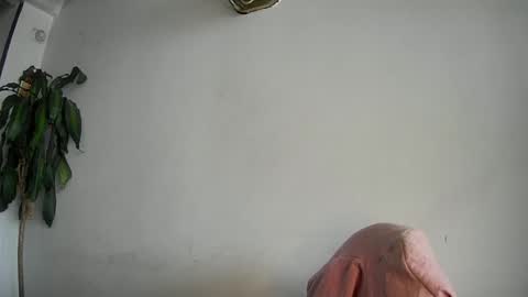 Snapshot of evacollins12 chatting on February 15, 7:50 pm evacollins12 online show from February 15, 7:50 pm