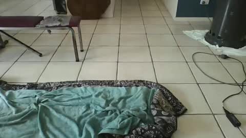 exhibitionnude online show from March 21, 12:38 am