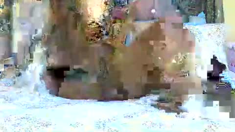 Snapshot of explicitly_certified chatting on March 3, 7:49 pm explicitly_certified online show from March 3, 7:49 pm