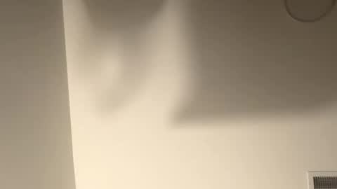 expreion123 online show from November 22, 10:35 am