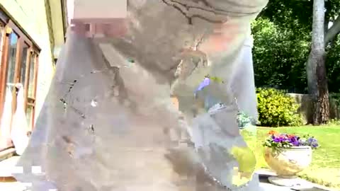 fagboysissy online show from July 16, 12:08 pm