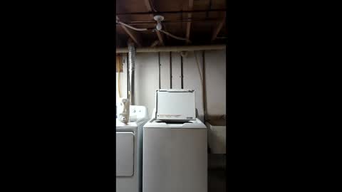 falcn2001 online show from January 17, 3:32 pm