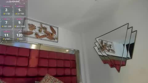 Faloon online show from November 17, 6:10 pm