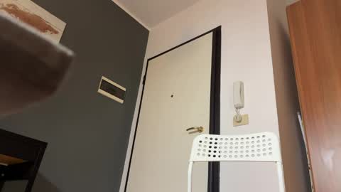 Gattino online show from April 17, 11:34 am