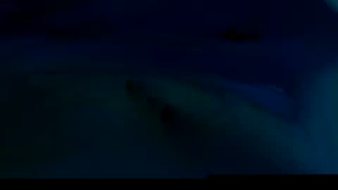 Snapshot of felixske chatting on September 12, 1:02 pm felixske online show from September 12, 1:02 pm