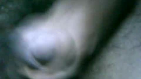 fer_2197 online show from October 31, 1:44 pm