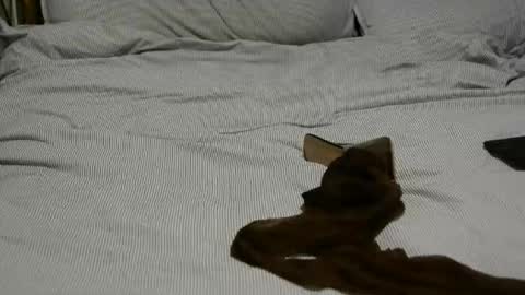 ffst0ckings online show from March 18, 11:54 pm