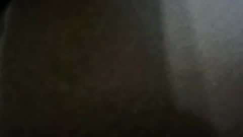 Snapshot of fierycaramel chatting on October 13, 5:04 pm fierycaramel online show from October 13, 5:04 pm