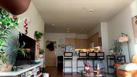 Fijian Baby online show from December 29, 11:50 pm