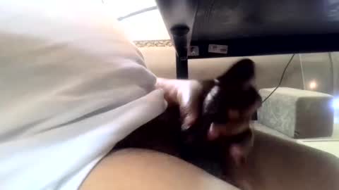 firecok55 online show from October 9, 10:59 pm