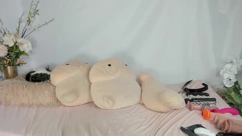 Snapshot of fit_american_girl chatting on September 8, 9:58 pm Megan NEW twitter fit amer girl online show from September 8, 9:58 pm