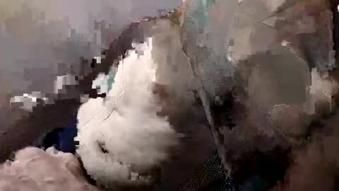 FittBoy online show from October 14, 1:03 pm