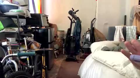 francis keith gibson online show from January 8, 2:03 pm