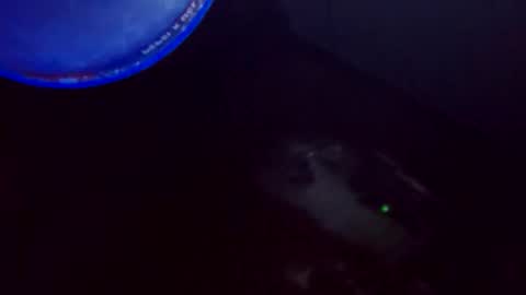 flashitorelindo online show from November 24, 2:21 am