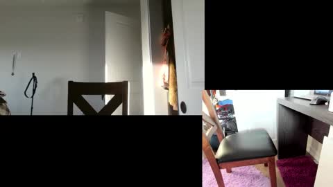 Snapshot of flexymodern chatting on March 11, 12:28 pm Matt Masterson online show from March 11, 12:28 pm