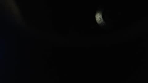 floretdiana online show from September 28, 3:37 am