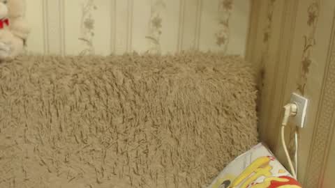 say meow and send tip  online show from January 17, 9:39 am