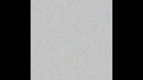 Flynn online show from March 29, 7:21 am