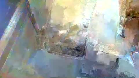 forest133 online show from January 5, 1:36 pm