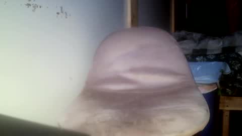 forestnymphpdx online show from November 11, 2:36 am