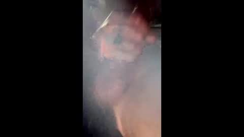 freelingling online show from February 16, 11:30 am