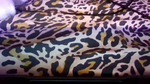 fresno559verga online show from October 12, 9:13 am