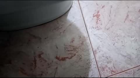 Hornycouple1386 online show from February 23, 2:25 pm