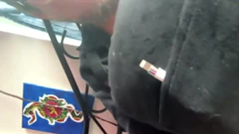 ftm_0 online show from December 17, 6:25 pm