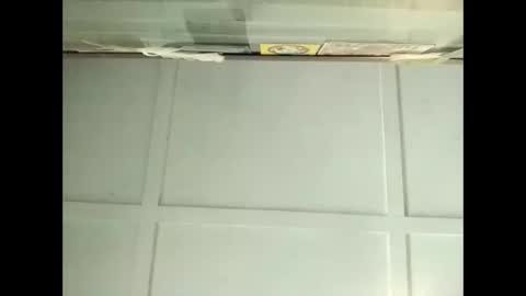 Warwick online show from November 11, 3:31 am