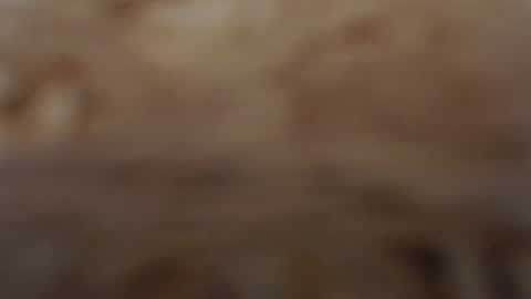 funcat01 online show from February 3, 3:04 am