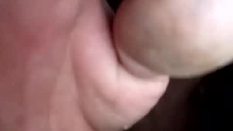 Funguyy0 online show from March 1, 7:56 am