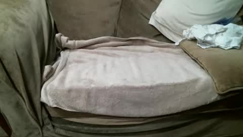 funlovinchub online show from November 23, 8:29 pm