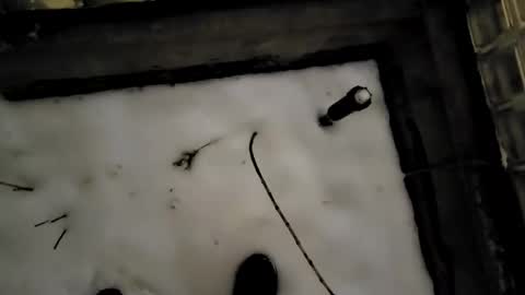 funtimesz143 online show from December 24, 2:21 am