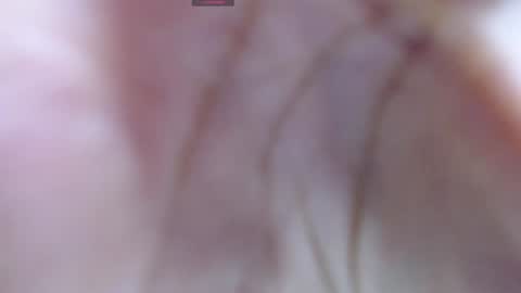 Snapshot of gabriela_morales01 chatting on December 12, 5:31 am . online show from December 12, 5:31 am