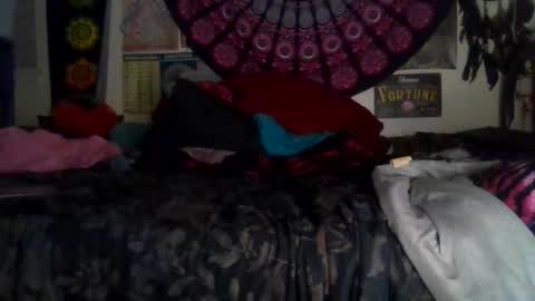 Gardenia online show from February 19, 11:20 am