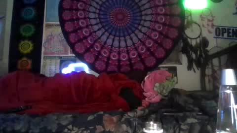 Gardenia online show from February 4, 7:34 am