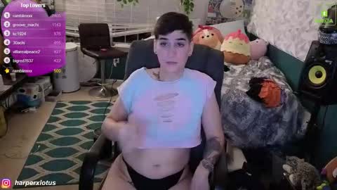 HarperxLotus online show from December 16, 2:19 am