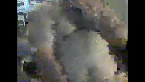 Snapshot of gerabo chatting on December 21, 4:57 pm gerabo online show from December 21, 4:57 pm