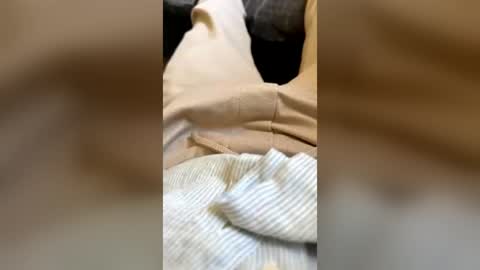 ghoastvibes1 online show from July 3, 7:57 am